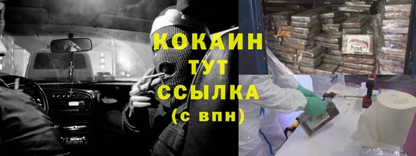 хмурый Туринск