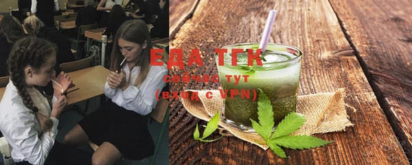хмурый Туринск