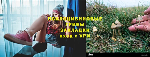 герыч Тында